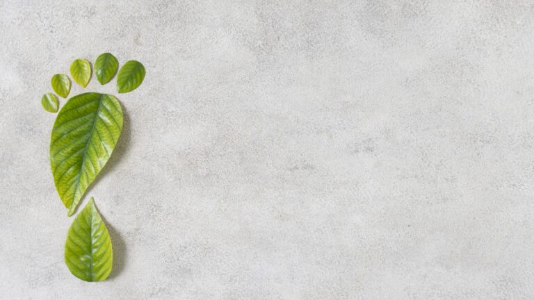 stilleben-nachhaltige-lifestyle-elemente-komposition